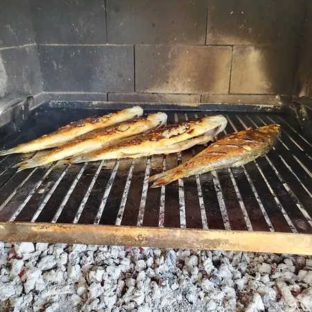 Lägenhet Olive And Herb Retreat