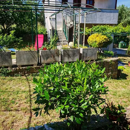 Olive And Herb Retreat *